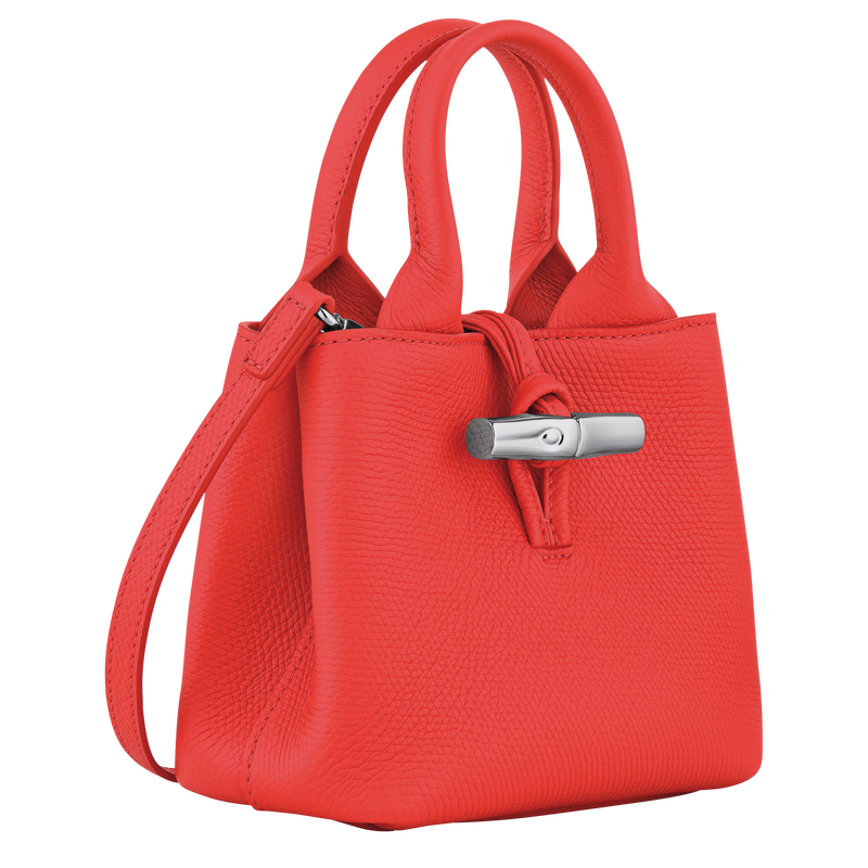 Le Roseau XS Handbag / Black - Leather - 图片 62