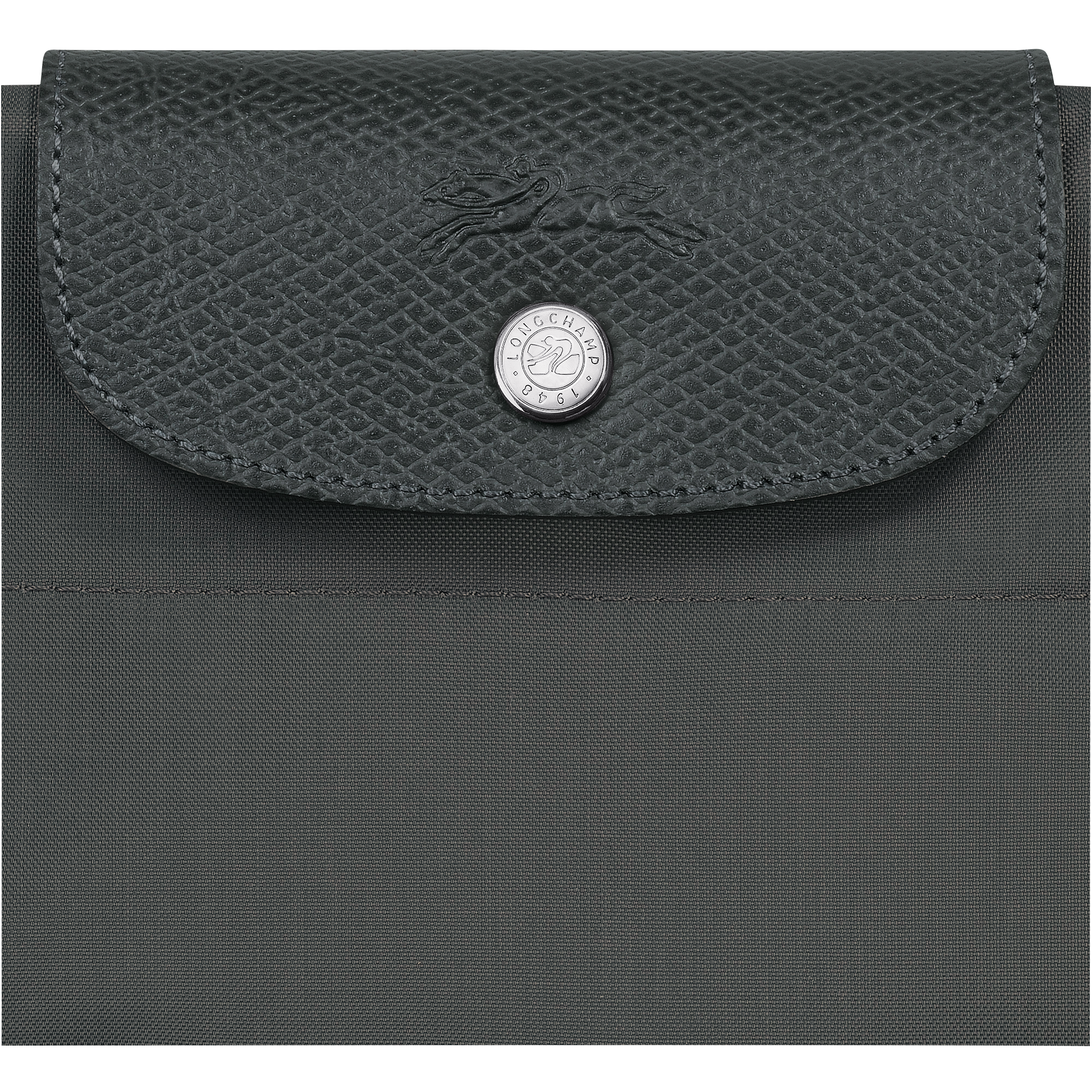 Le Pliage Green M Tote bag / Graphite - Canvas - 图片 6