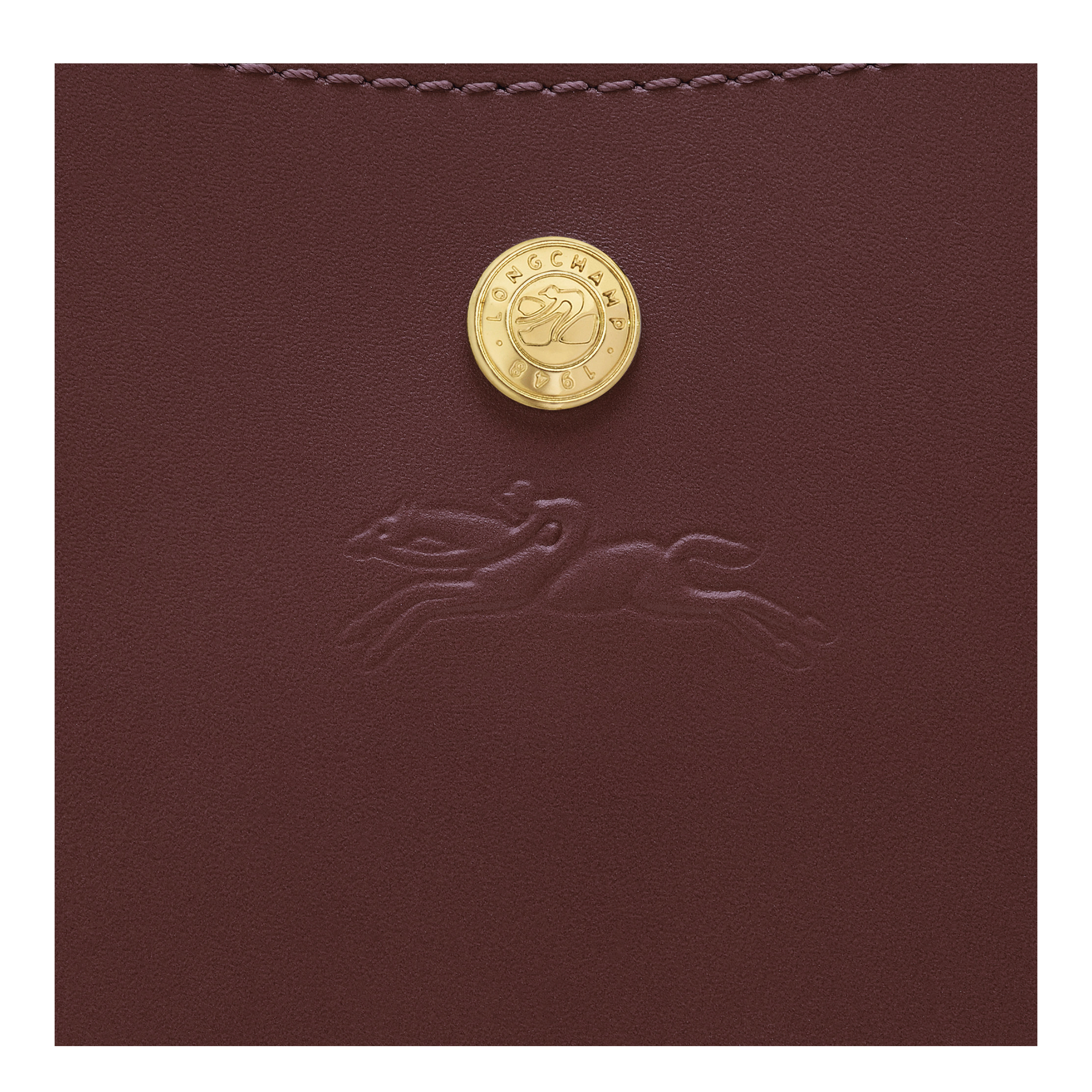 Épure Crossbody bag / Burgundy - Leather - 图片 6