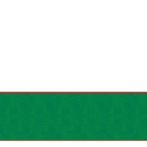 Chevaux Stole / Green - Horse print